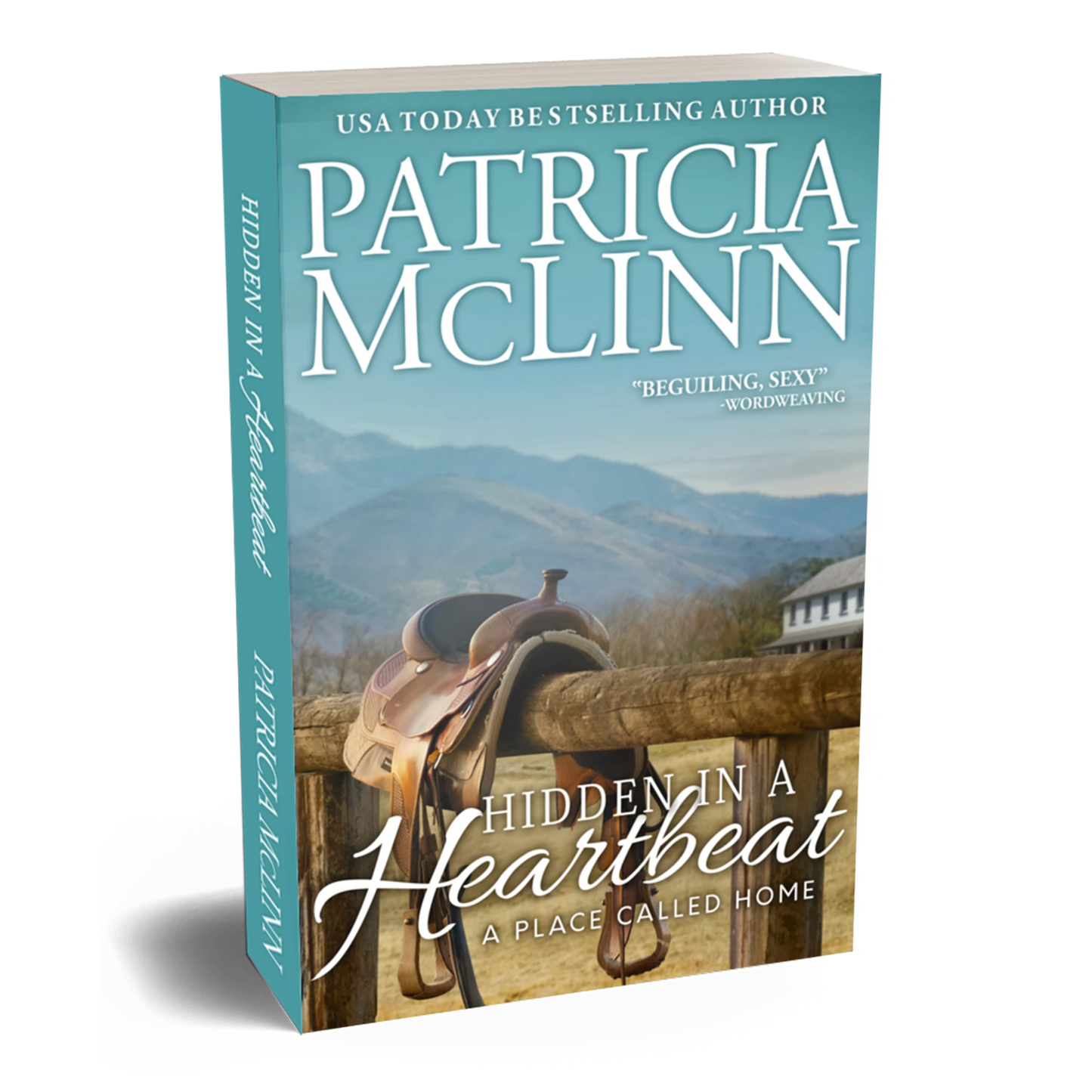 Hidden in a Heartbeat (paperback)