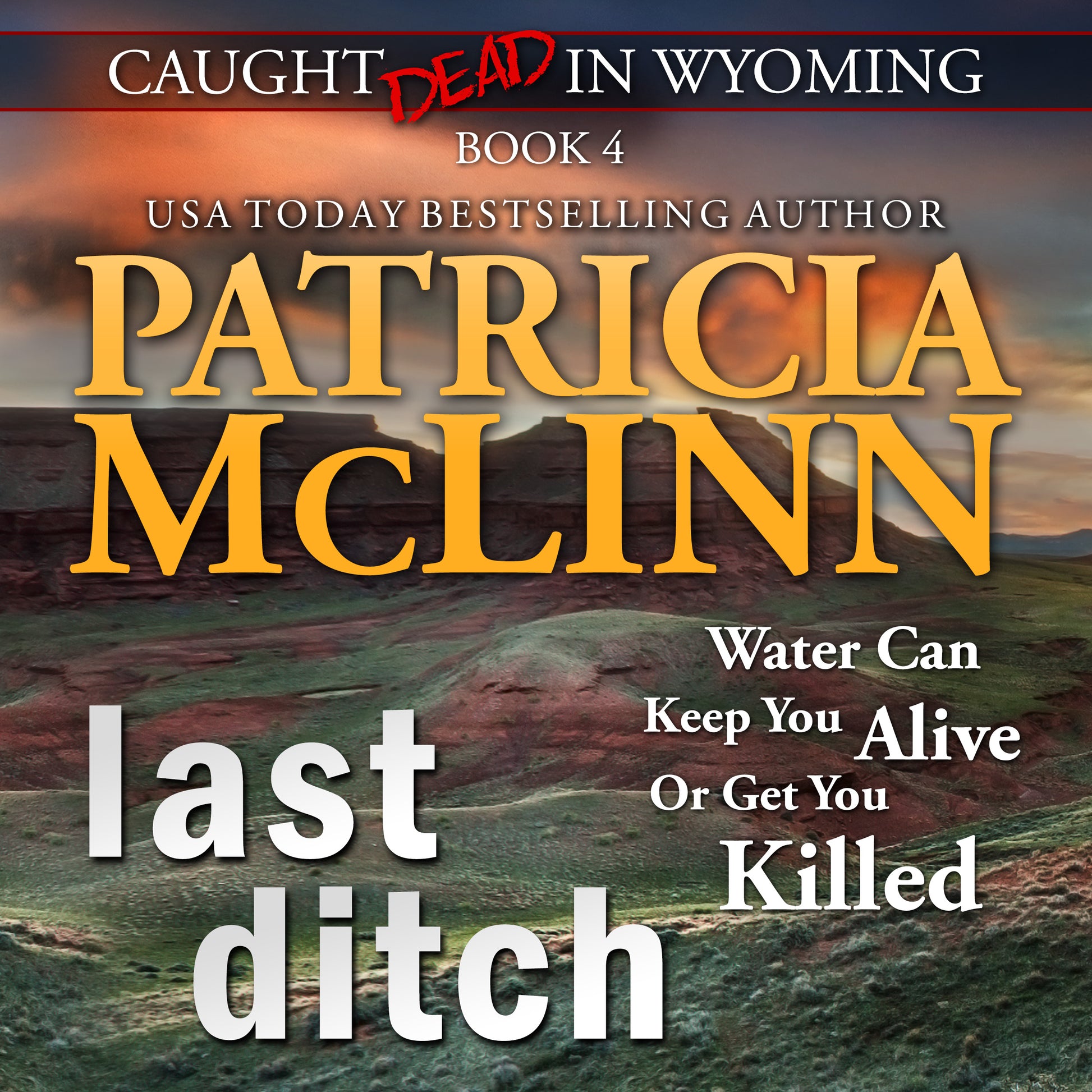 Last Ditch Audiobook - Patricia McLinn