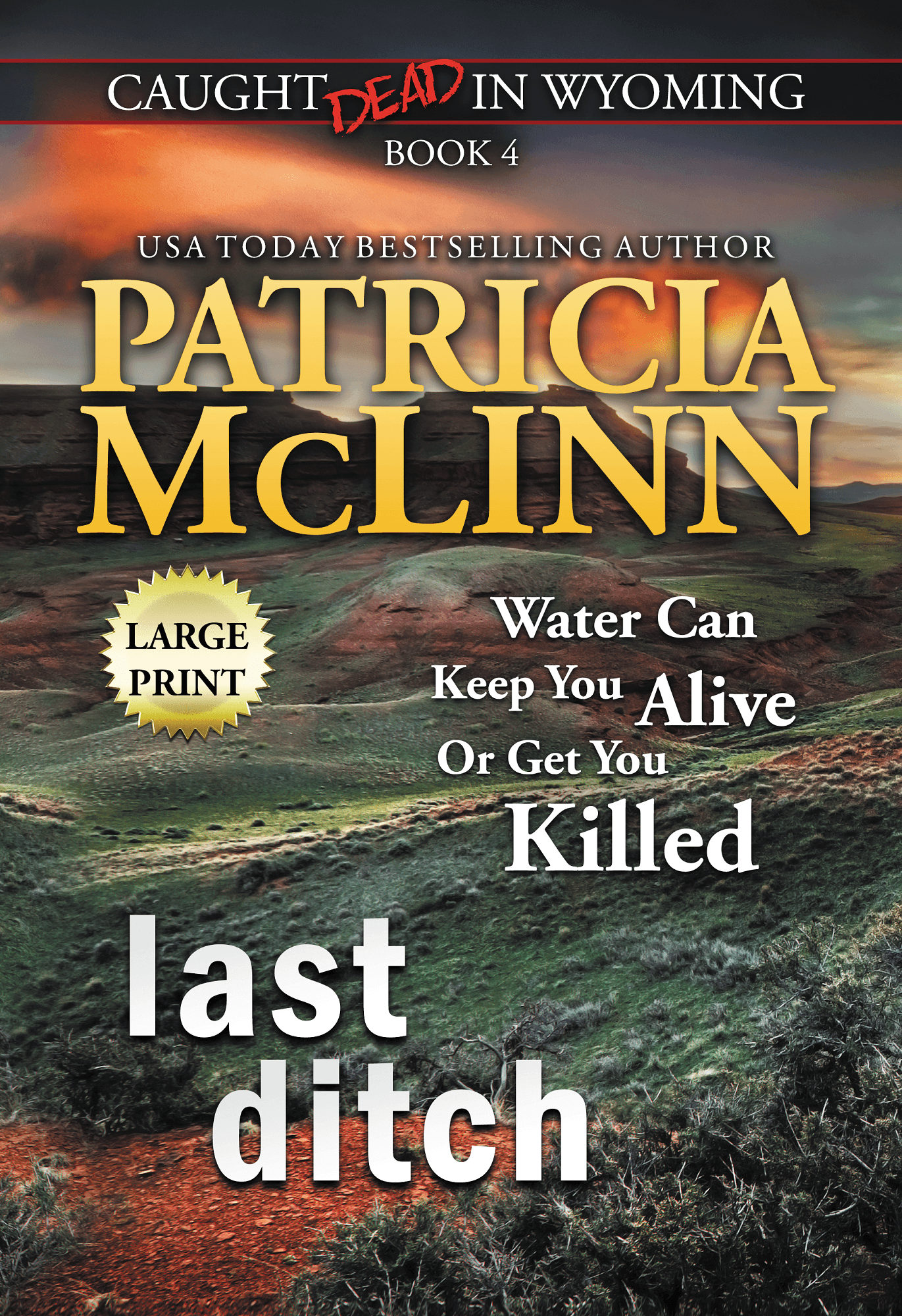 Last Ditch: Large Print - Patricia McLinn