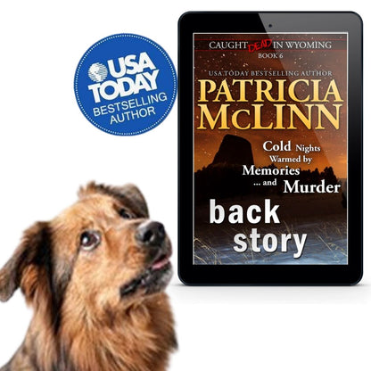 Back Story (ebook)