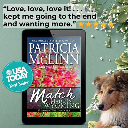 Match Made in Wyoming (ebook)