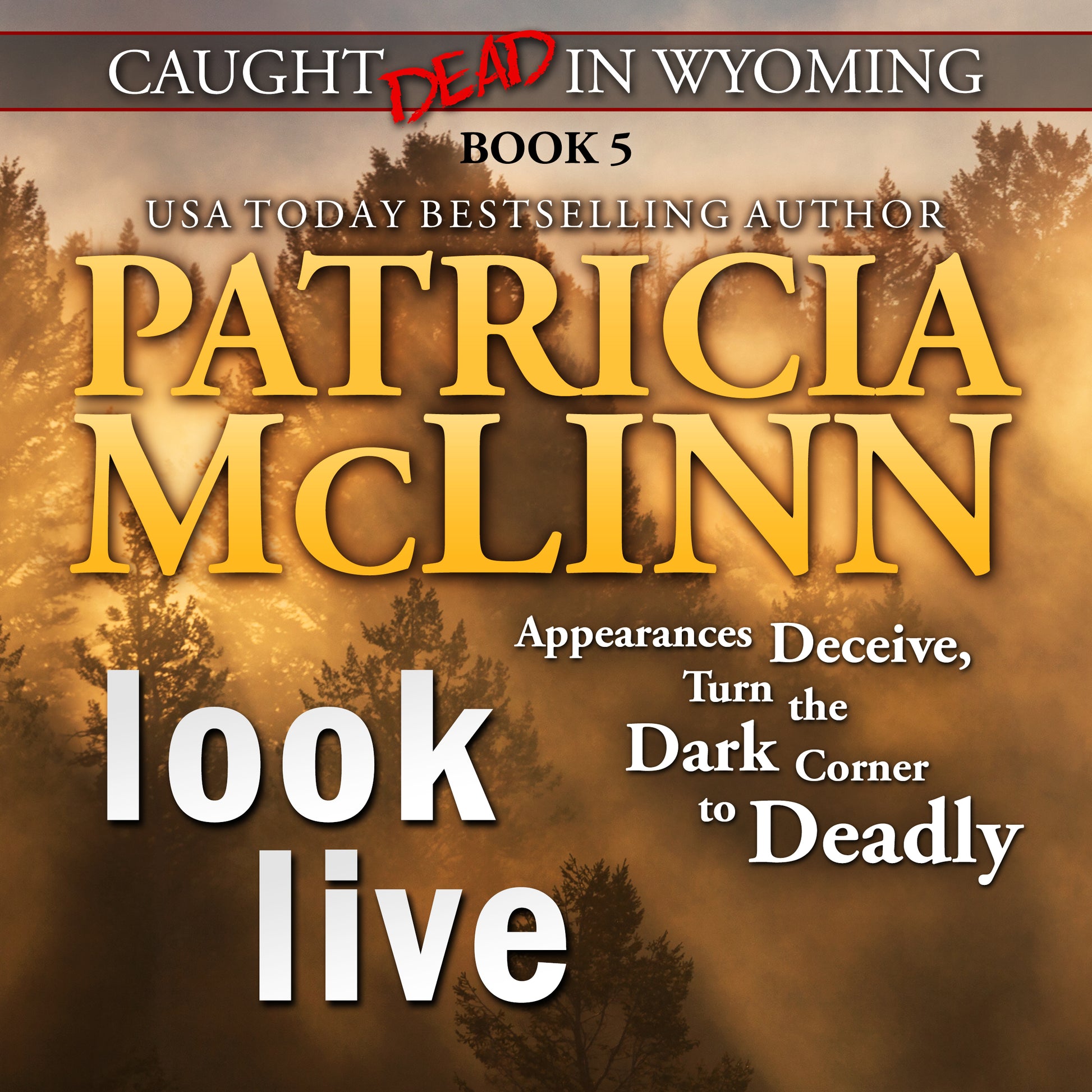 Look Live Audiobook - Patricia McLinn