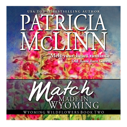 Match Made in Wyoming (audiobook)