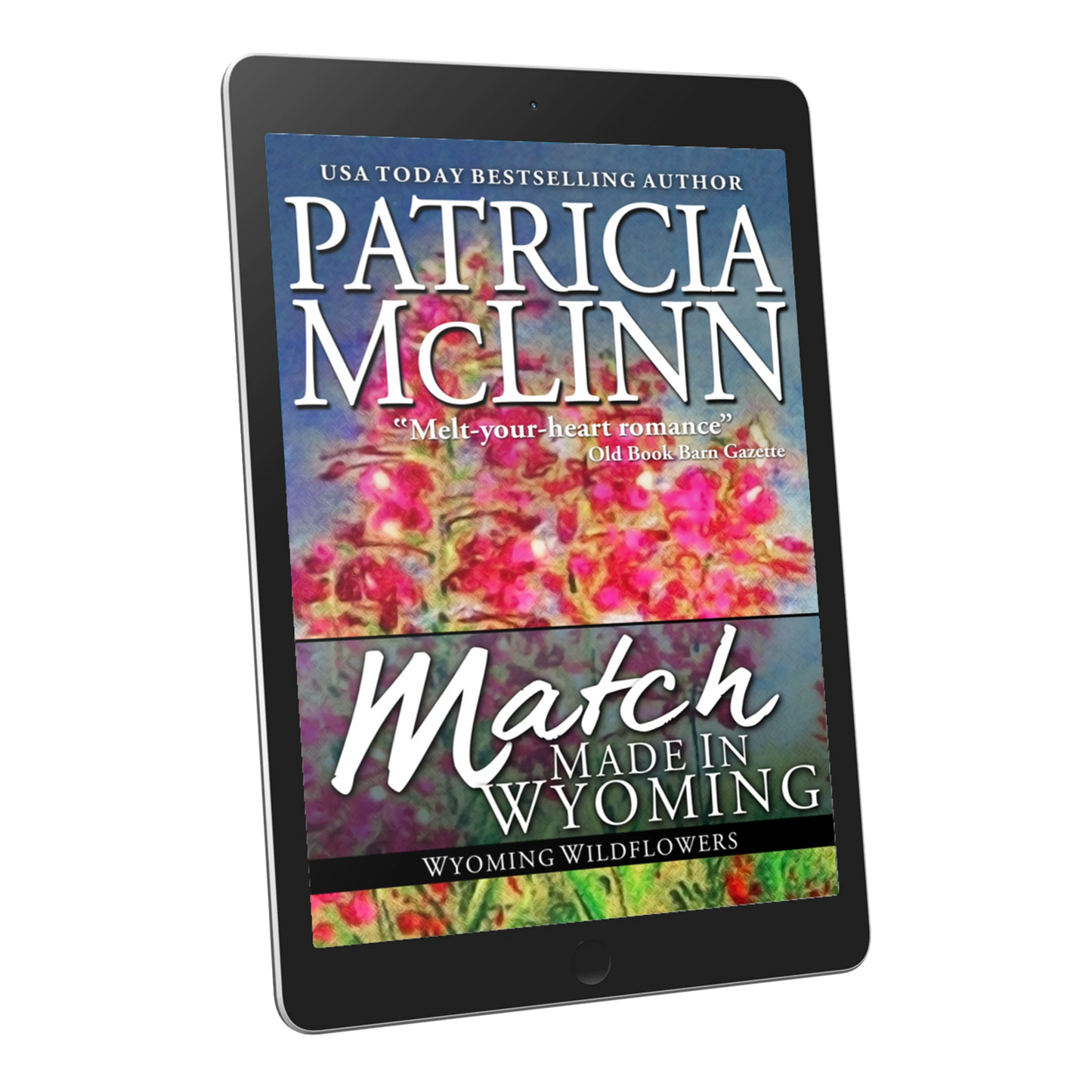 Match Made in Wyoming (ebook)