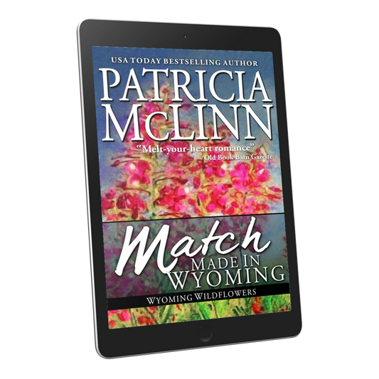 Match Made in Wyoming (ebook)