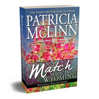 Match Made in Wyoming (paperback)