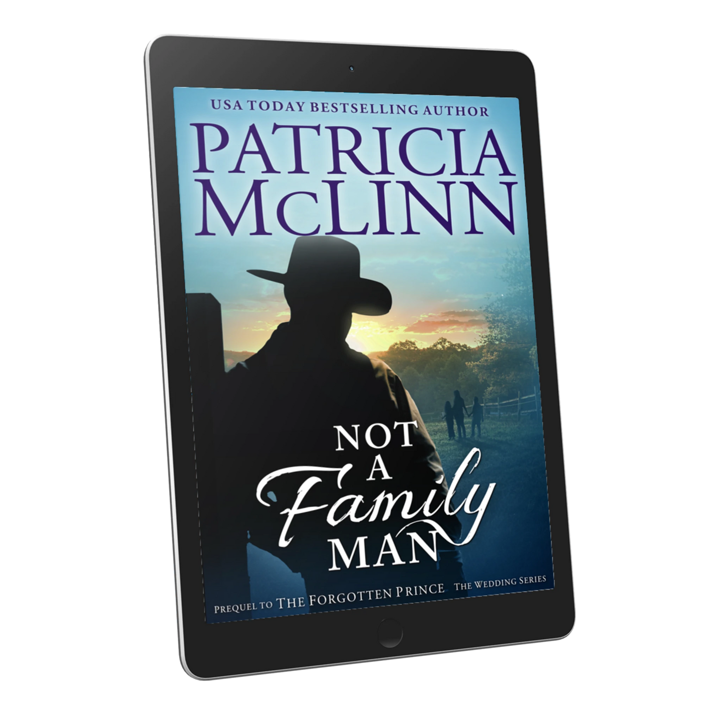 Not a Family Man (ebook)