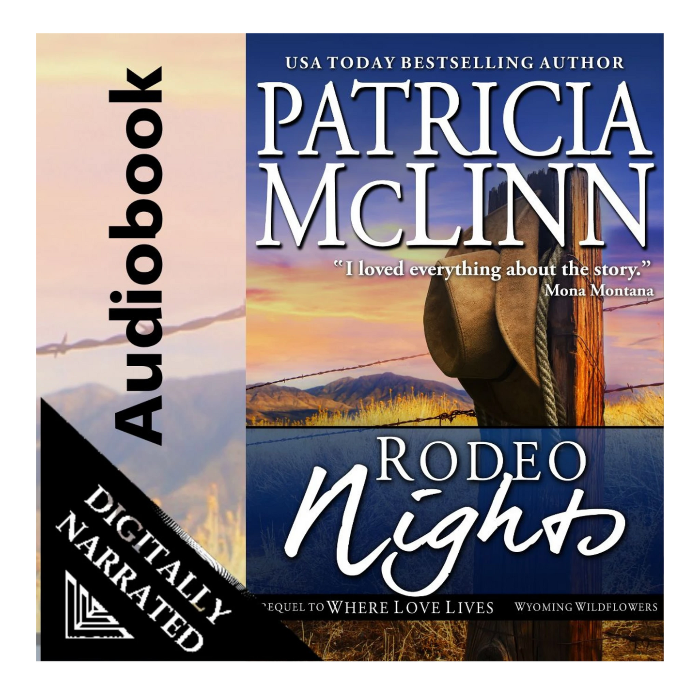 Rodeo Nights (audiobook)