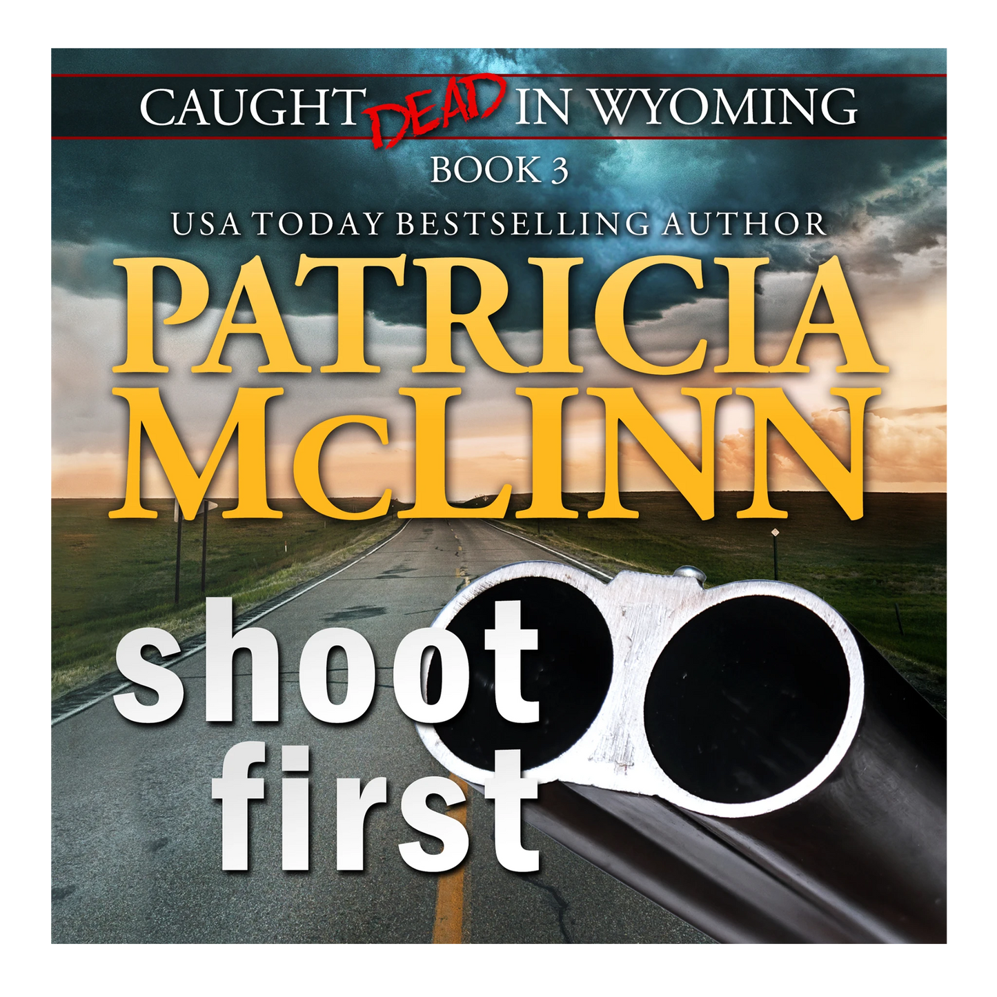 Shoot First (audiobook)