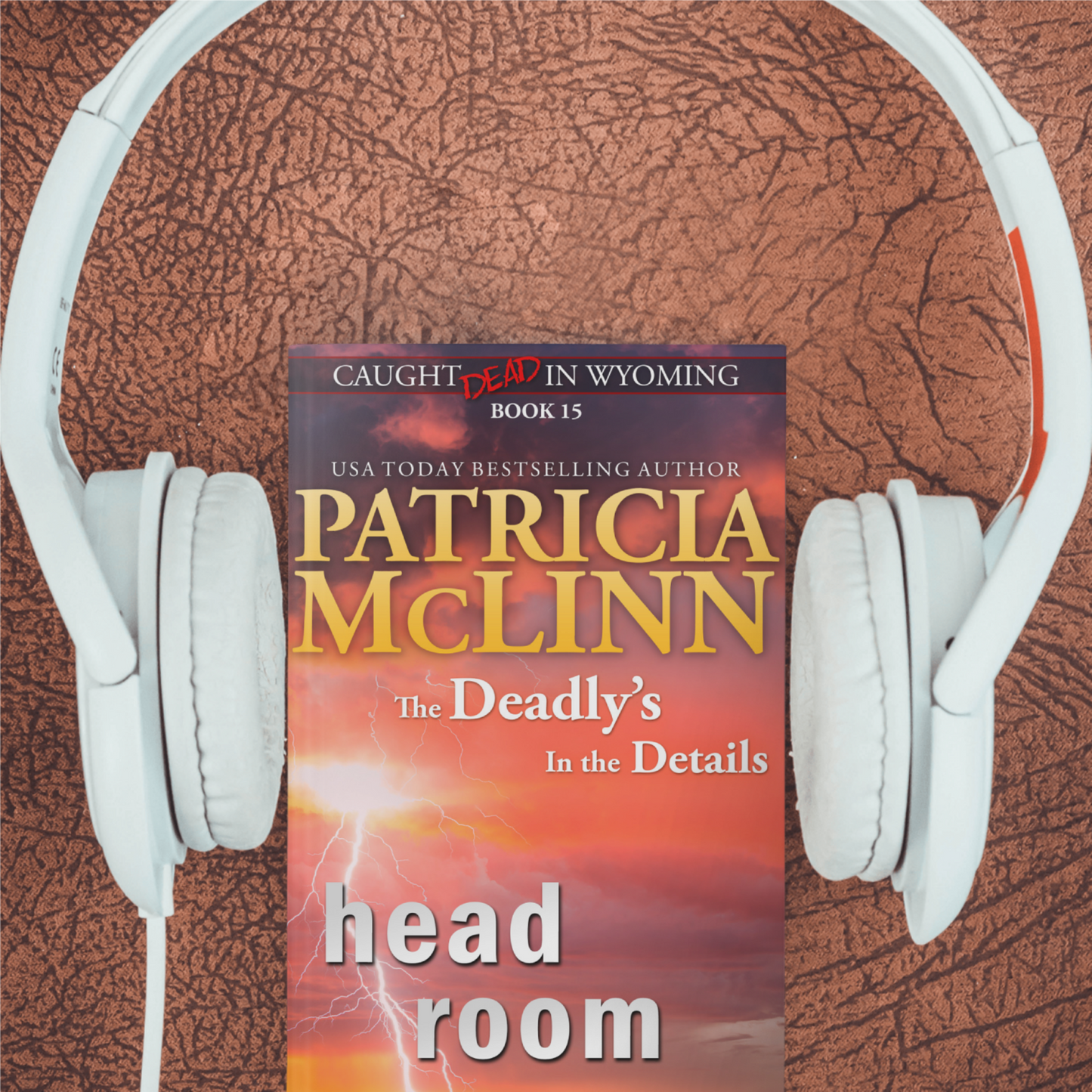 Head Room (audiobook)
